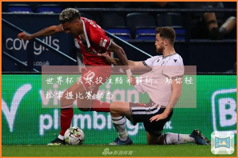 世界杯买球投注赔率解析，助你轻松掌握比赛动态