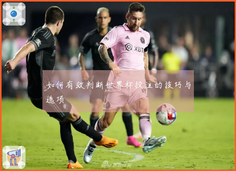 如何有效判断世界杯投注的技巧与选项