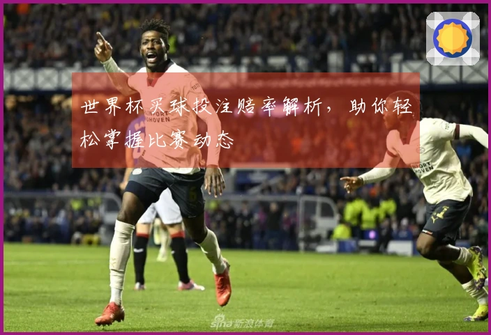 世界杯买球投注赔率解析，助你轻松掌握比赛动态