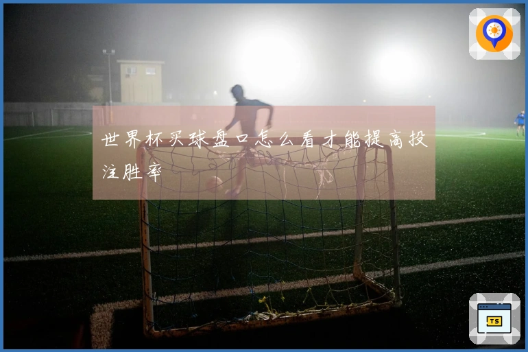 世界杯买球盘口怎么看才能提高投注胜率