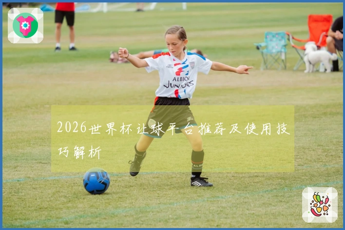 2026世界杯让球平台推荐及使用技巧解析