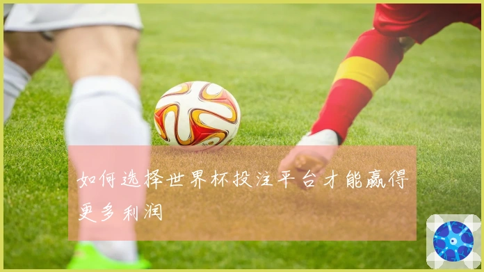 如何选择世界杯投注平台才能赢得更多利润