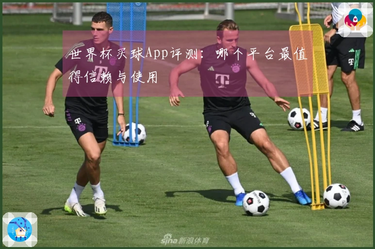 世界杯买球App评测：哪个平台最值得信赖与使用