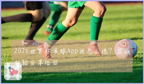 2026世界杯滚球App该怎么选？实战经验分享给你