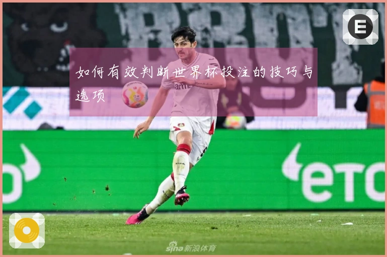 如何有效判断世界杯投注的技巧与选项
